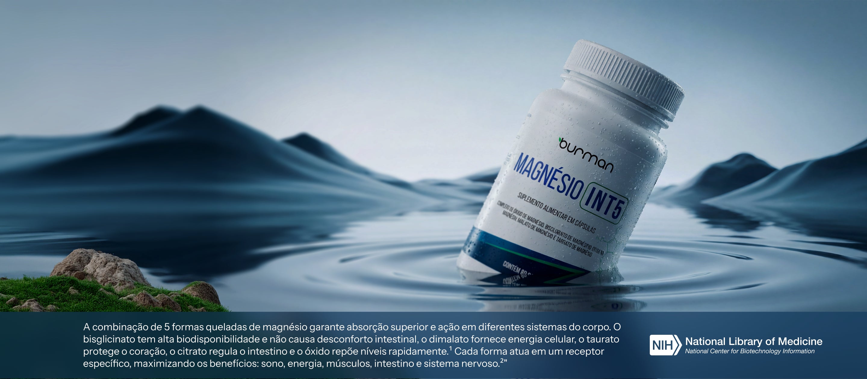 <p><em>INT5 Quelado</em></p>